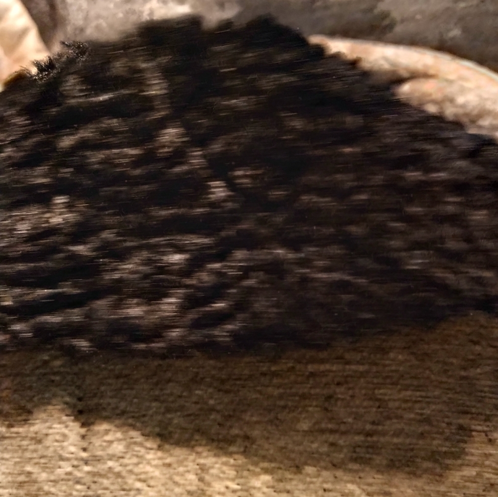 Harold's wool jacket - Picture 9 of 9